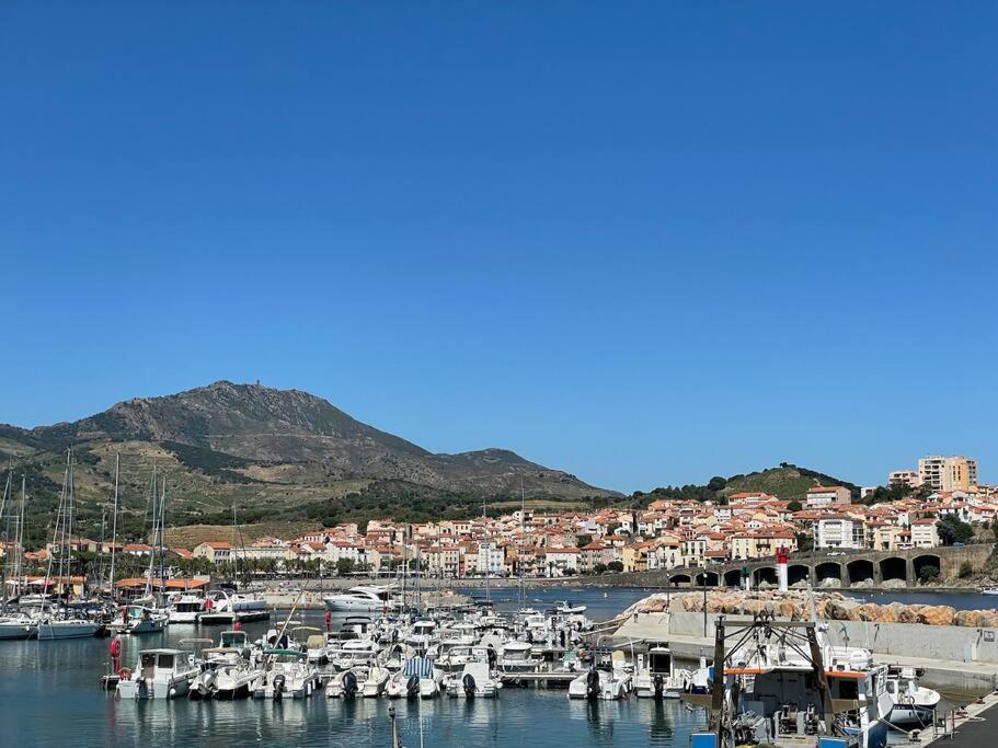 Banyuls La Grande Bleue : Studio T1 Exterior photo